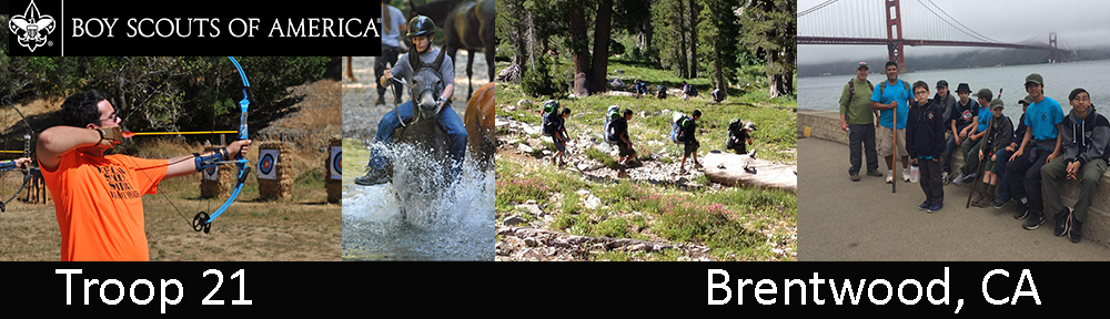 BSA Troop 21